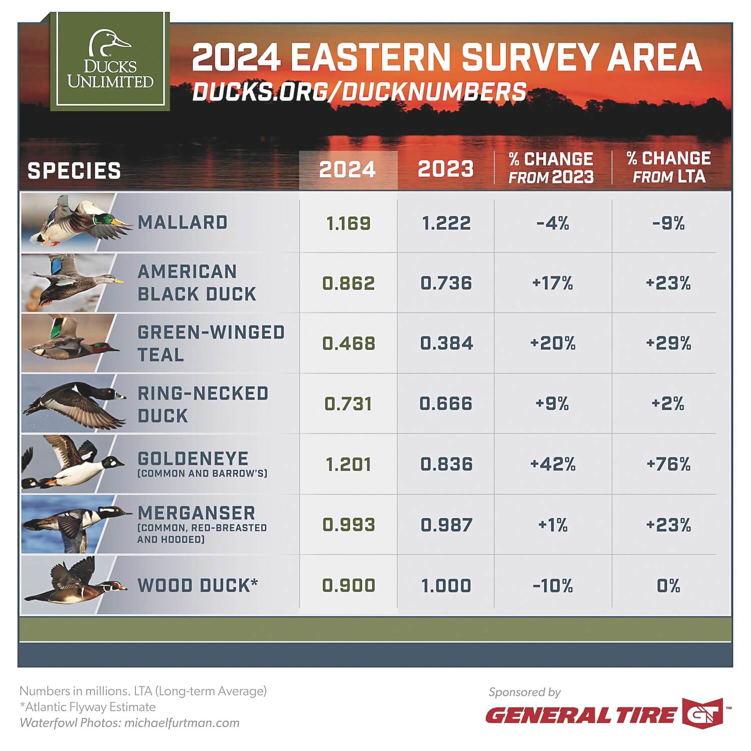 2024-eastern-survey-area.jpg